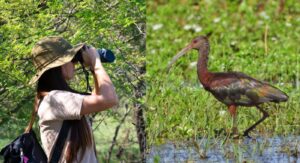 Aviturismo: oportunidad o negocio perdido